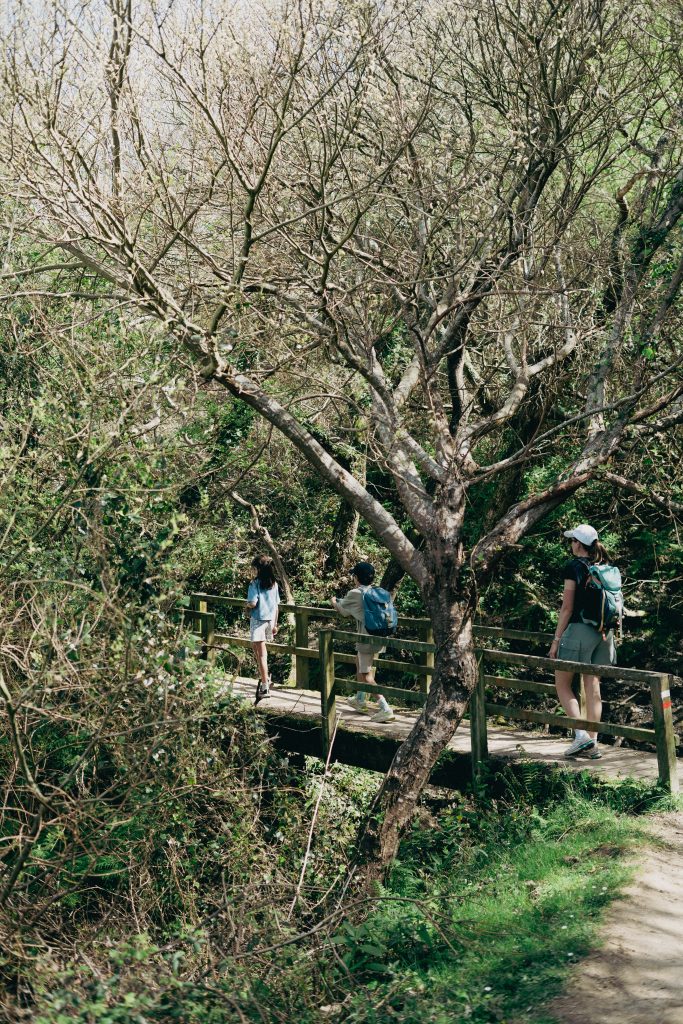rando de Fontarrabie vers Pasaia.